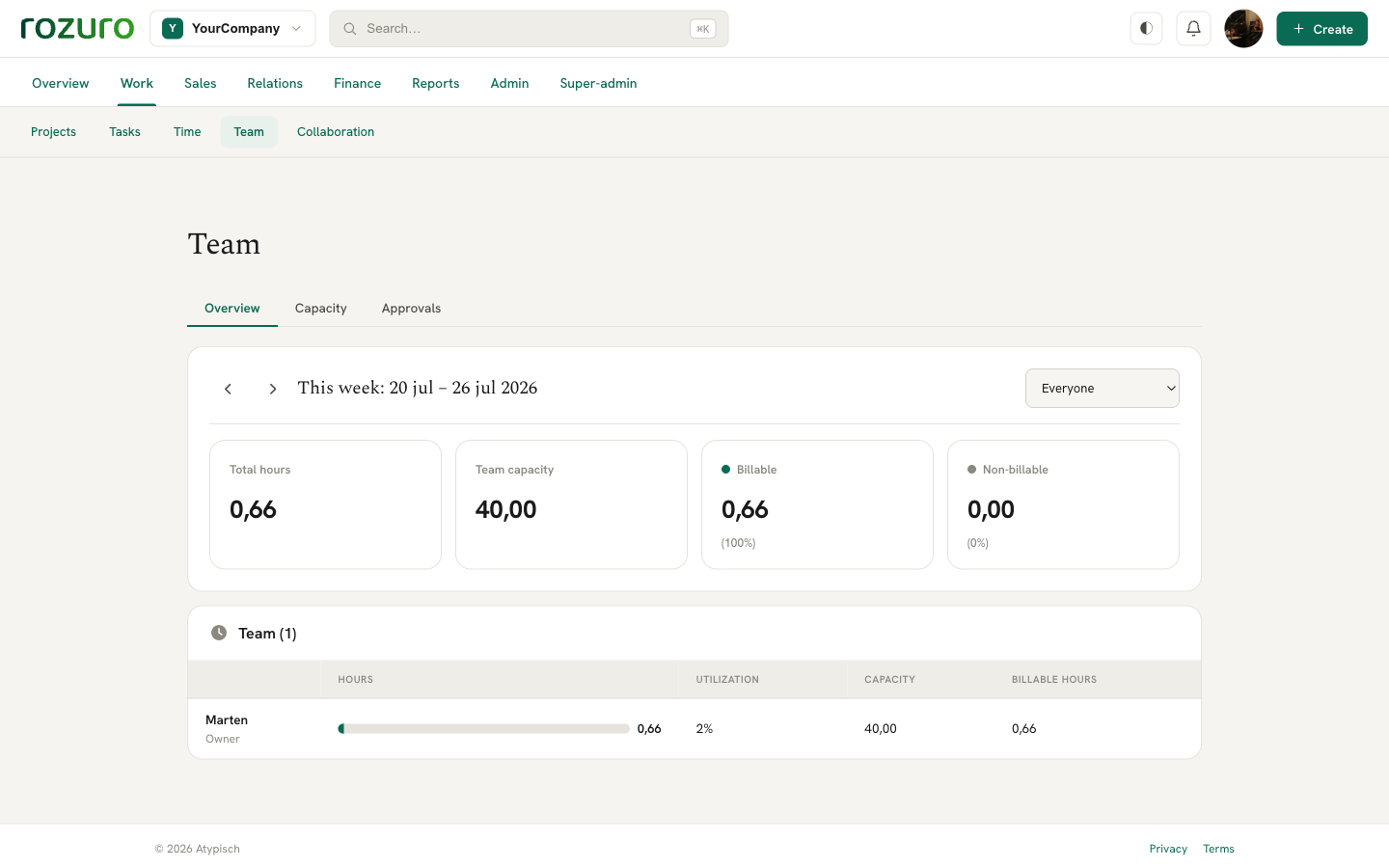 Team — Capacity, utilisation and billable hours per member.